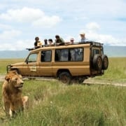 Safari Packing List