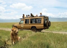 Safari Packing List