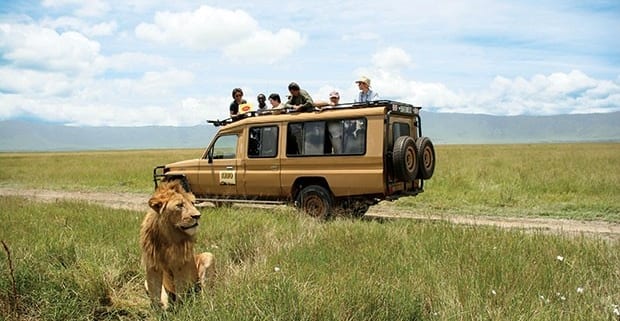 Safari Packing List