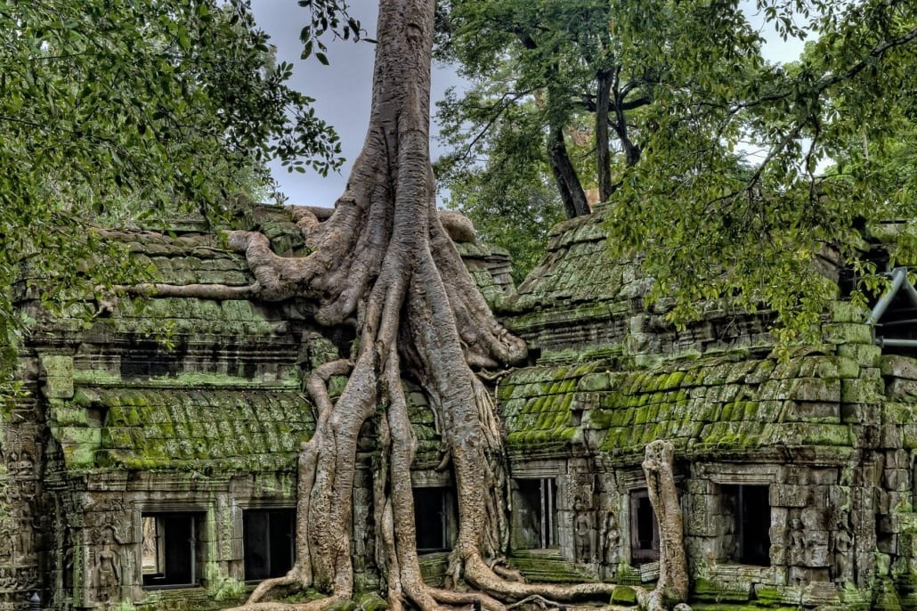 Ta Prohm Temple in the Angkor Wat Temple Complex in Cambodia, one of the cheapest backpacking countries