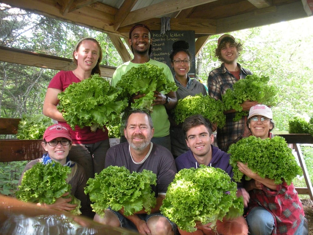 Work on an organic farm in the UK in exchange for free accommodation