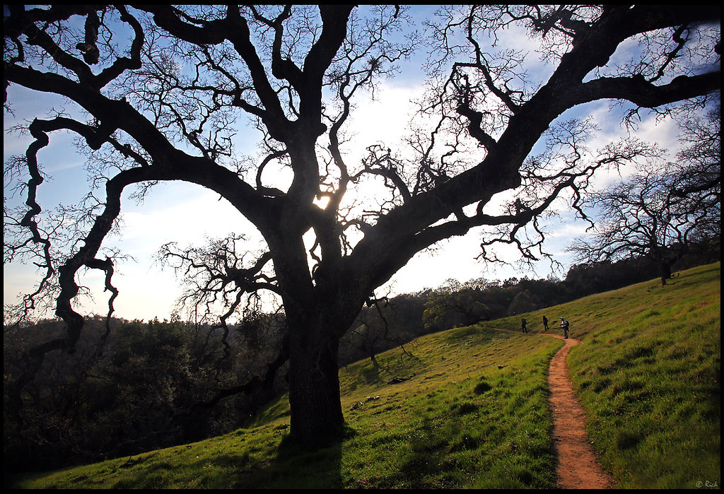 Backpacking in Henry Coe State Park