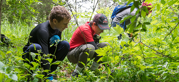 Volunteer travel conservation projects