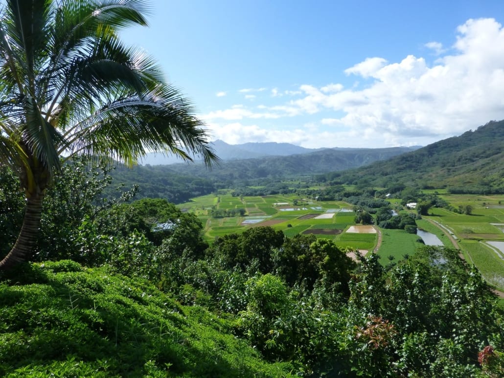 Free things to do in Kauai - visit the Hanalei Lookout