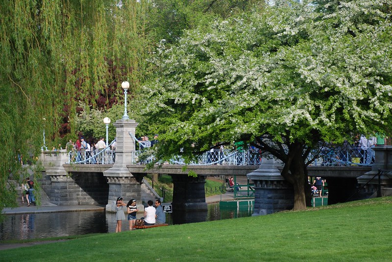 Explore hidden gems around Boston Public Garden