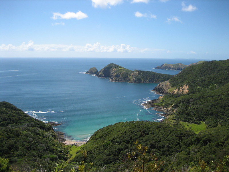 Te Toroa Bay from the Cape Brett Trail - one of New Zealand's best day hikes