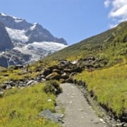 Rob Roy Track in Mount Aspiring National Park