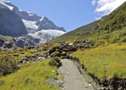 Rob Roy Track in Mount Aspiring National Park