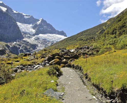 Rob Roy Track in Mount Aspiring National Park