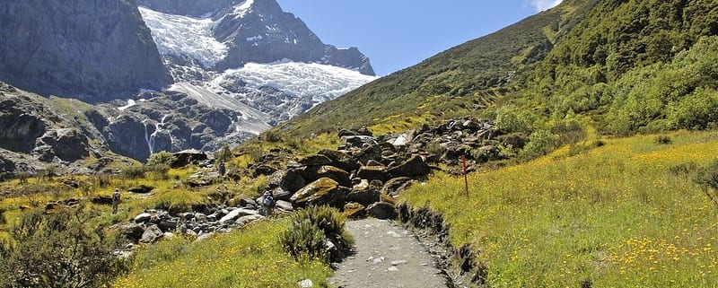 Rob Roy Track in Mount Aspiring National Park