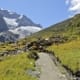 Rob Roy Track in Mount Aspiring National Park