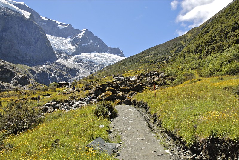Day Hikes in New Zealand - Rob Roy Track in Mount Aspiring National Park