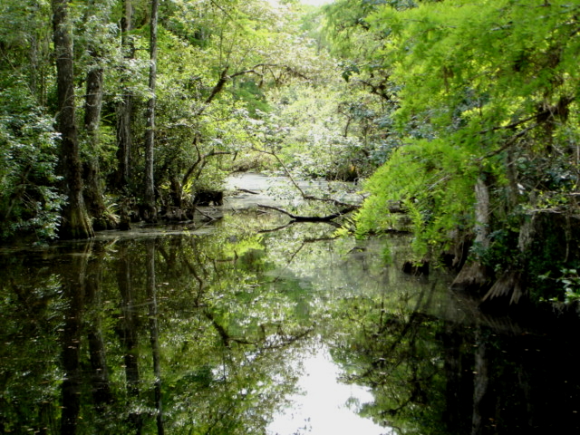 The Everglades - one of Florida's Natural Wonders