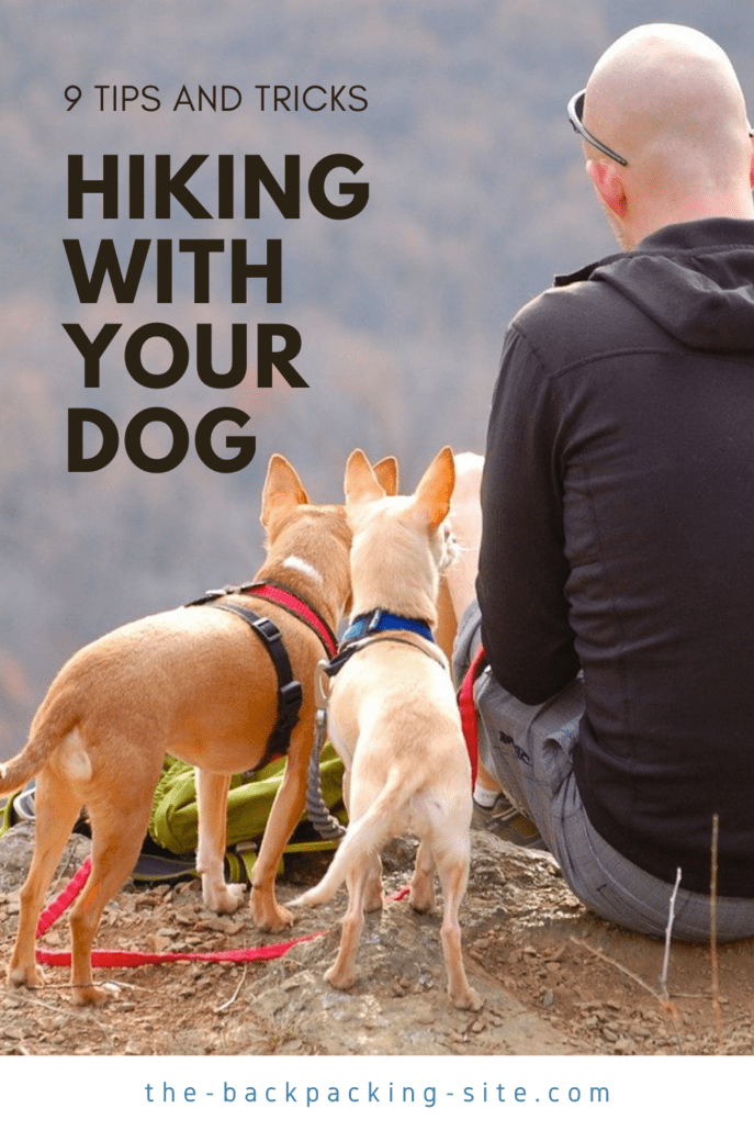 Hiking with Dogs