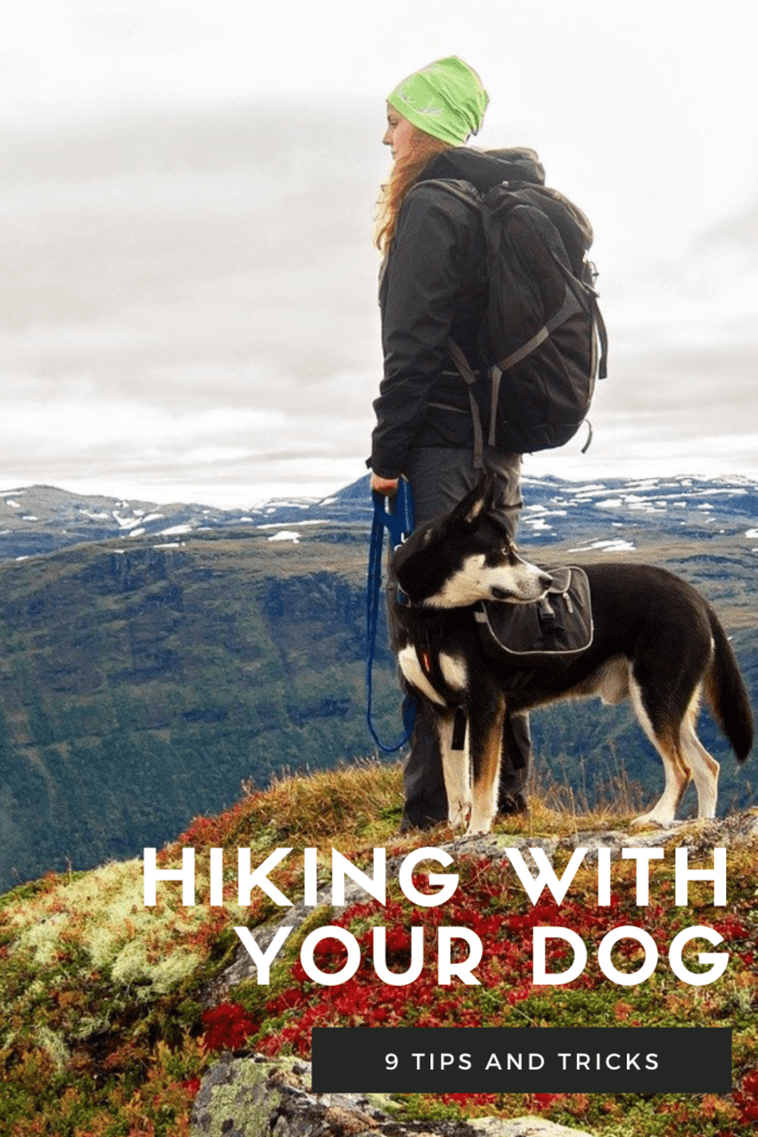 Backpacking with your dog