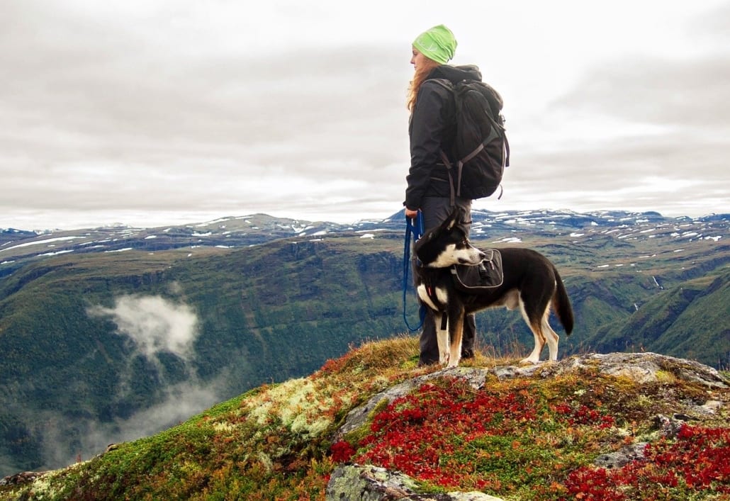 9 Tips & Tricks for Hiking and Backpacking with your Dog