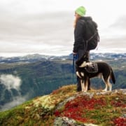 9 Tips & Tricks for Hiking and Backpacking with your Dog