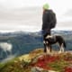9 Tips & Tricks for Backpacking with your Dog