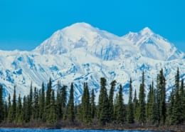 Top 5 Best Things To Do In Denali National Park