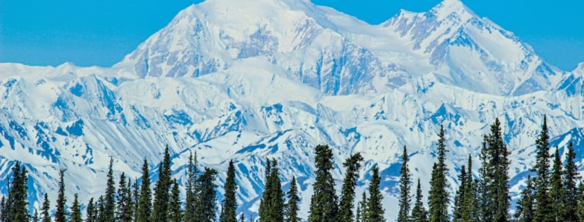 Top 5 Best Things To Do In Denali National Park