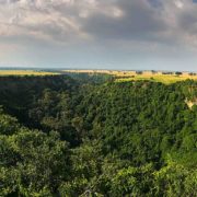 Take to the trails in Kyambura Gorge in Western Uganda