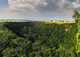 Take to the trails in Kyambura Gorge in Western Uganda