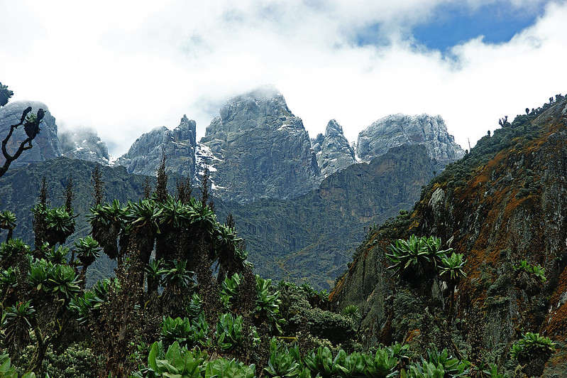 Discover the Rwenzori Mountains, one of the best hiking spots in Uganda