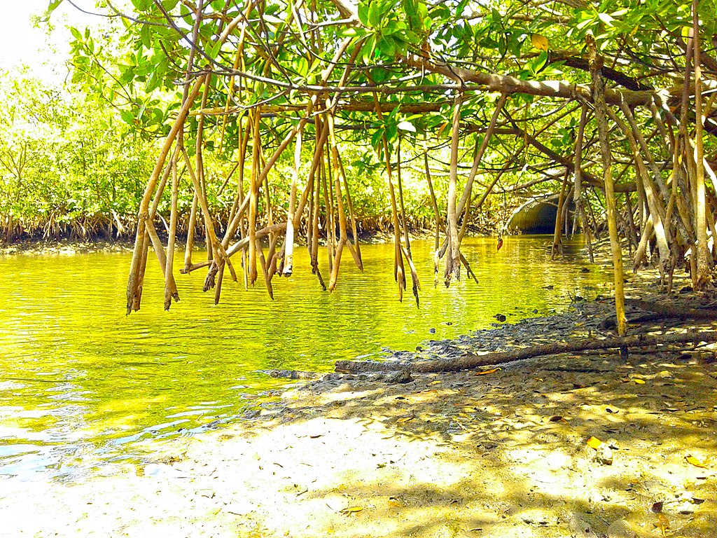 Oleta River State Park Trail