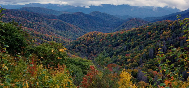 Exploring the Great Smoky Mountains National Park