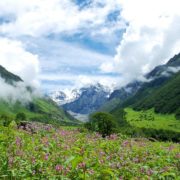 Valley of Flowers Short Trek