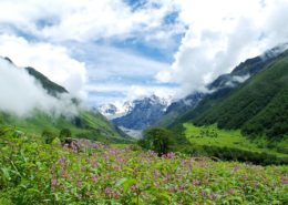 Valley of Flowers Short Trek