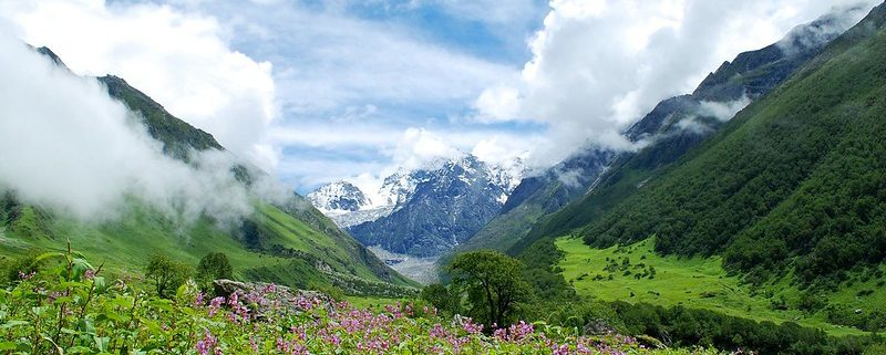 Valley of Flowers Short Trek