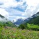 Valley of Flowers Short Trek