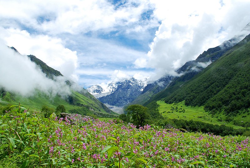 Valley of Flowers Short Trek