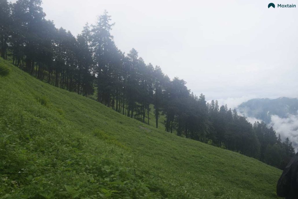 The Bhrigu Lake trek is regarded as one of the best treks in Himachal Pradesh for beginners