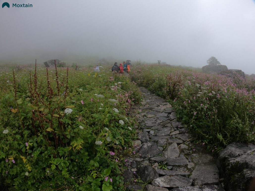 Explore the Valley of Flowers - one of the Best Treks in Uttarakhand