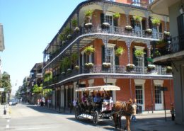 Best Outdoor Activities in New Orleans