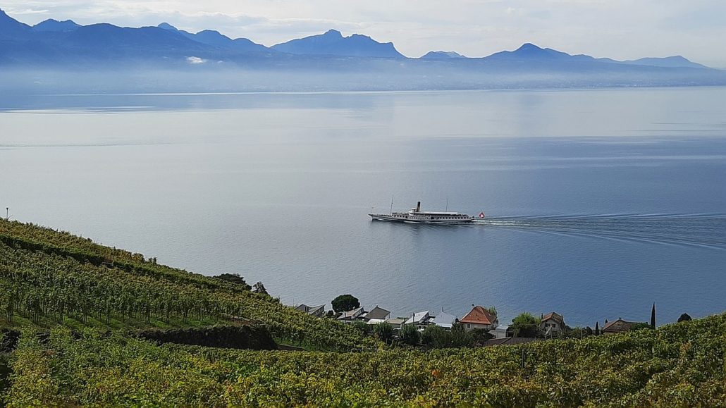 View of Lake Geneva from the Lavaux