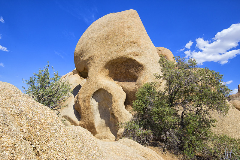 Skull Rock Nature Trail