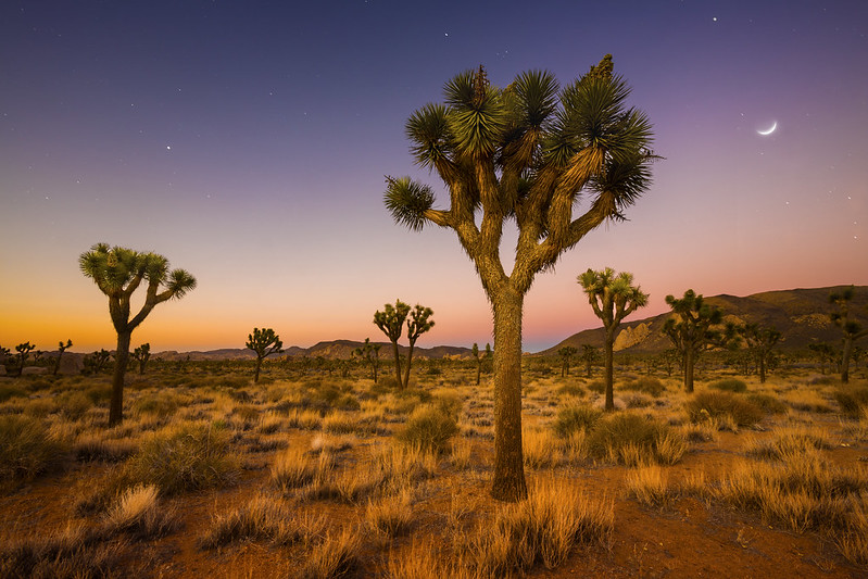Have a blast hiking in Joshua Tree National Park