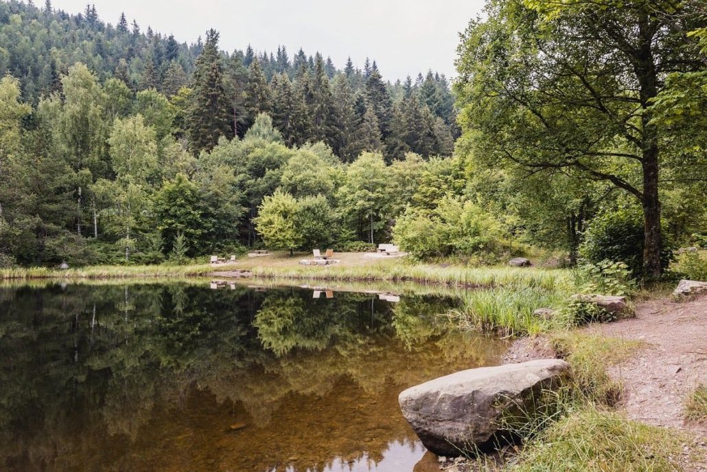 Sankenbachsee - photo by Stefan Kuhn