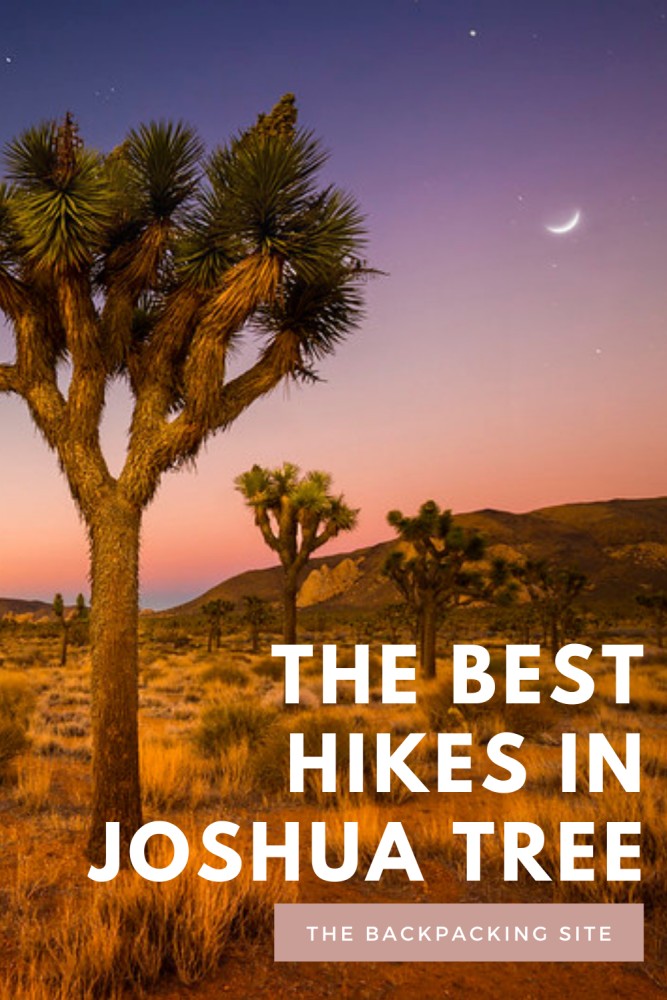 The Best Hikes in Joshua Tree