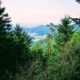 5 Great Hikes in the Northern Black Forest, Germany 