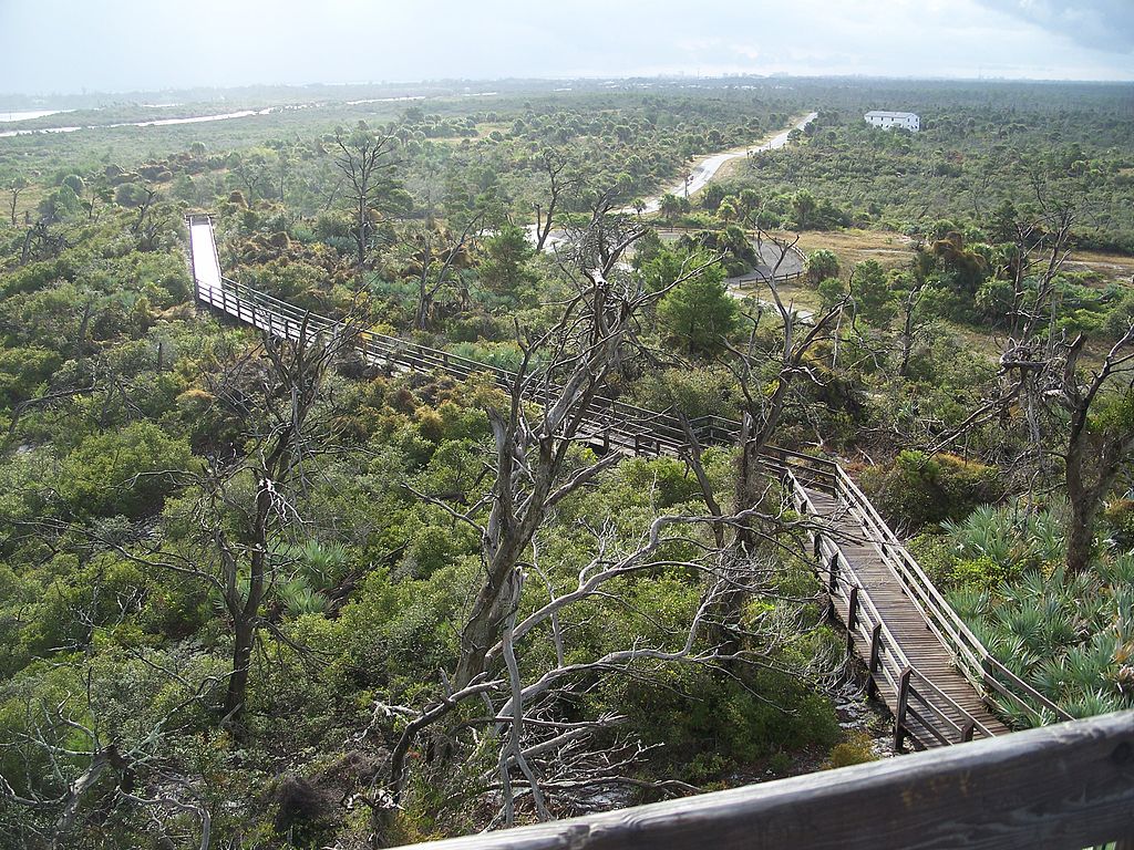 Get off the beaten path at Jonathan Dickinson State Park near Miami