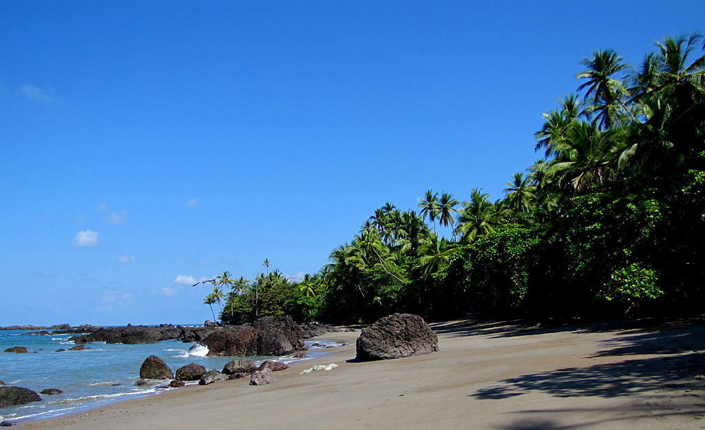 Parque Nacional Corcovado - one of the best hikes in Costa Rica to experience wildlife