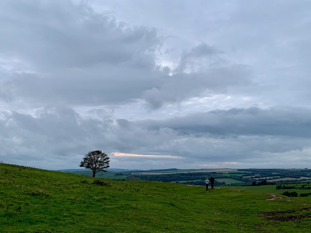 Head to South Downs National Park to experience English countryside just outside of London