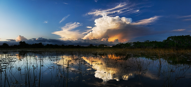 Everglades National Park, a great day trip from Miami