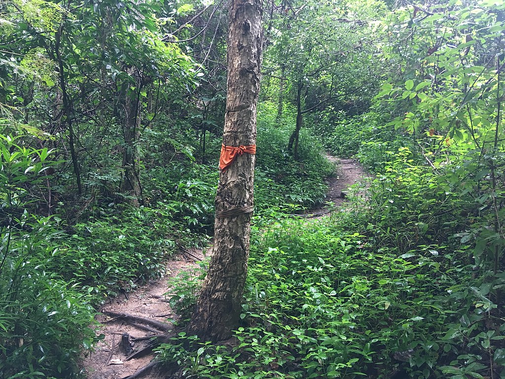 Markers along the Monk's Trail 