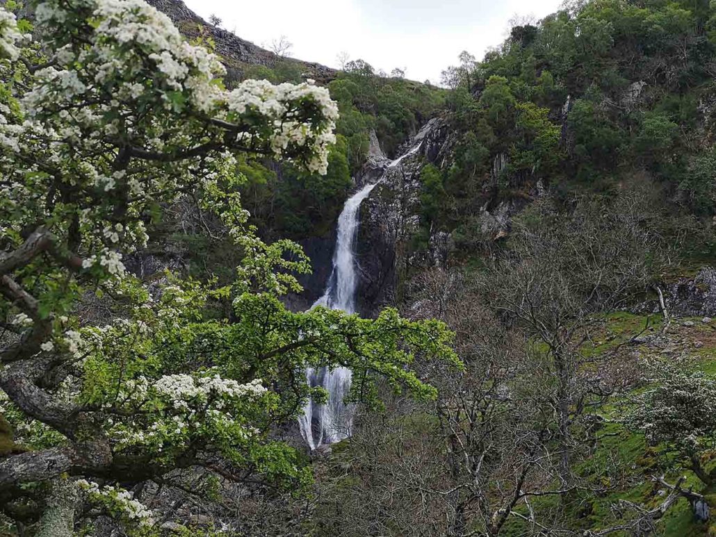 Aber Falls in Northern Wales