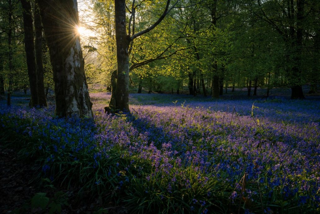 The Lake District National Park